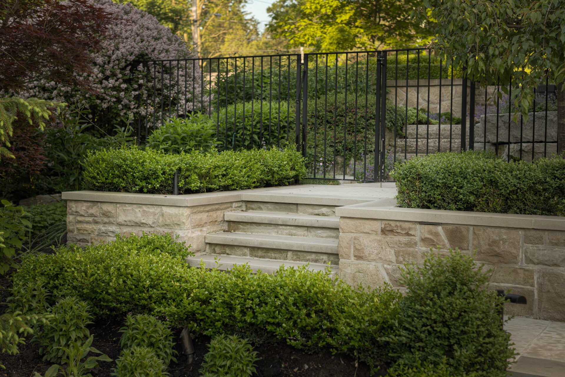 Stone steps surrounded by neatly trimmed bushes and a black metal fence in a lush garden setting, under clear skies.