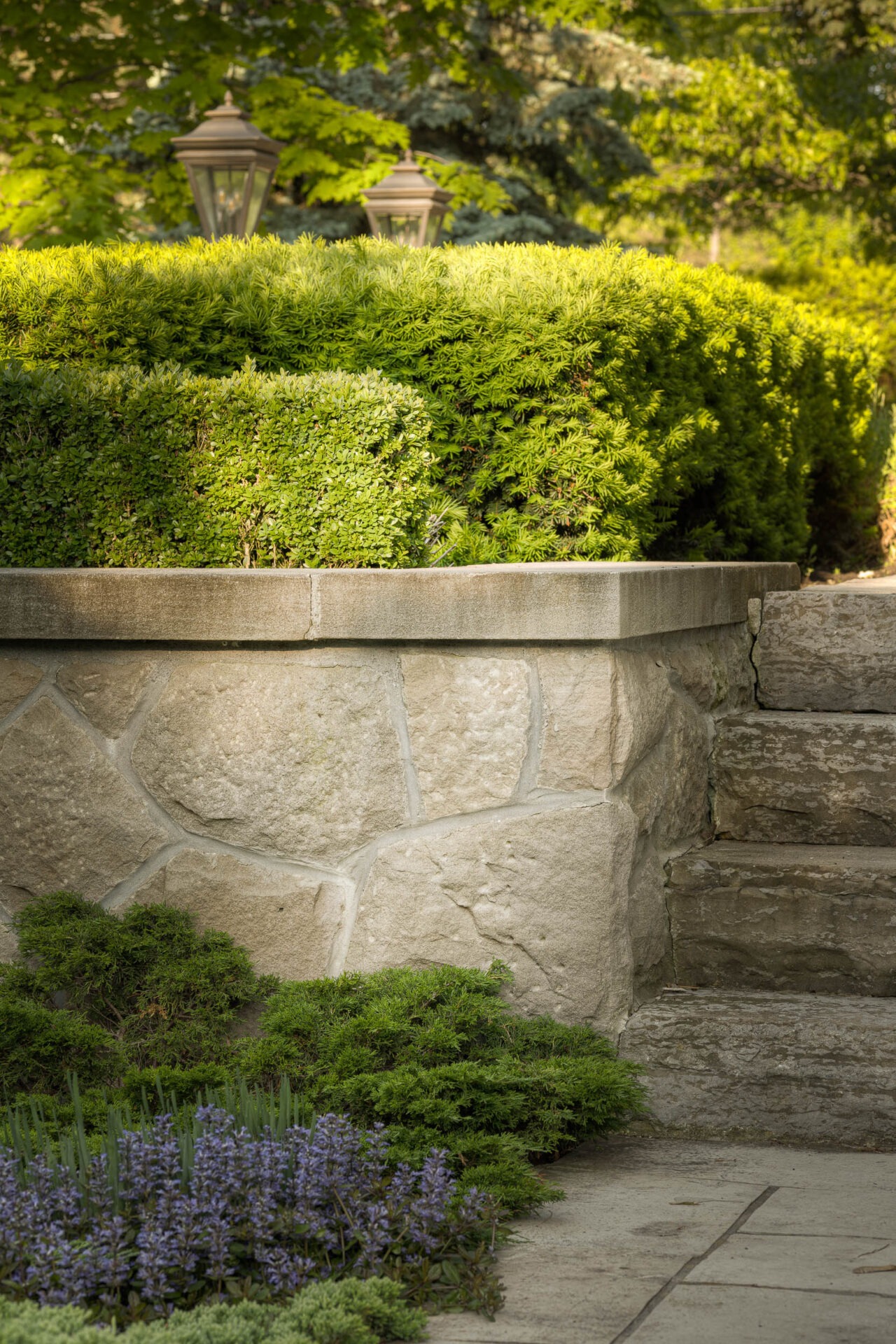 Stone wall with lush green hedges, lanterns, and stone steps surrounded by purple flowers and leafy trees in a serene garden setting.