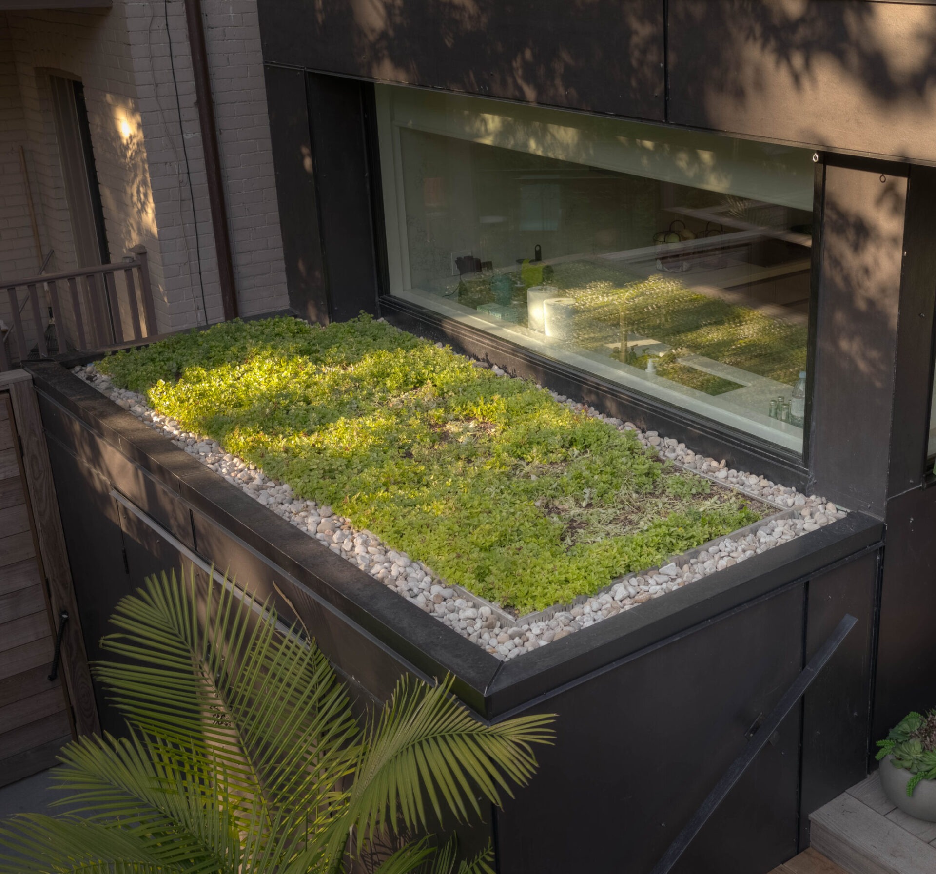 Modern building with a green rooftop garden, large windows, and potted plants visible, surrounded by early morning light and shadows.