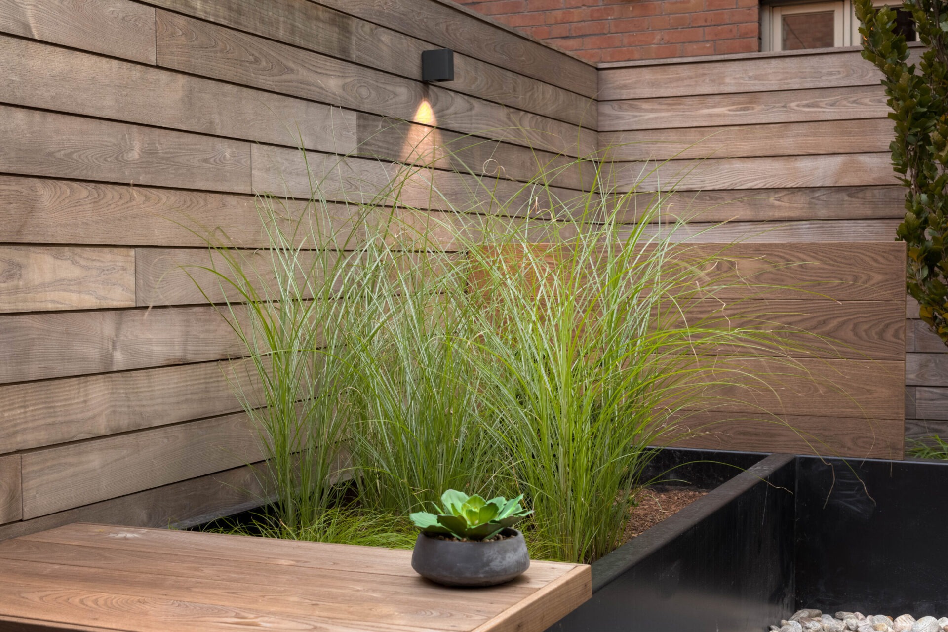 Modern courtyard with wooden walls, lush green plants, and a small pot on a wooden table. A serene, minimalist outdoor space.