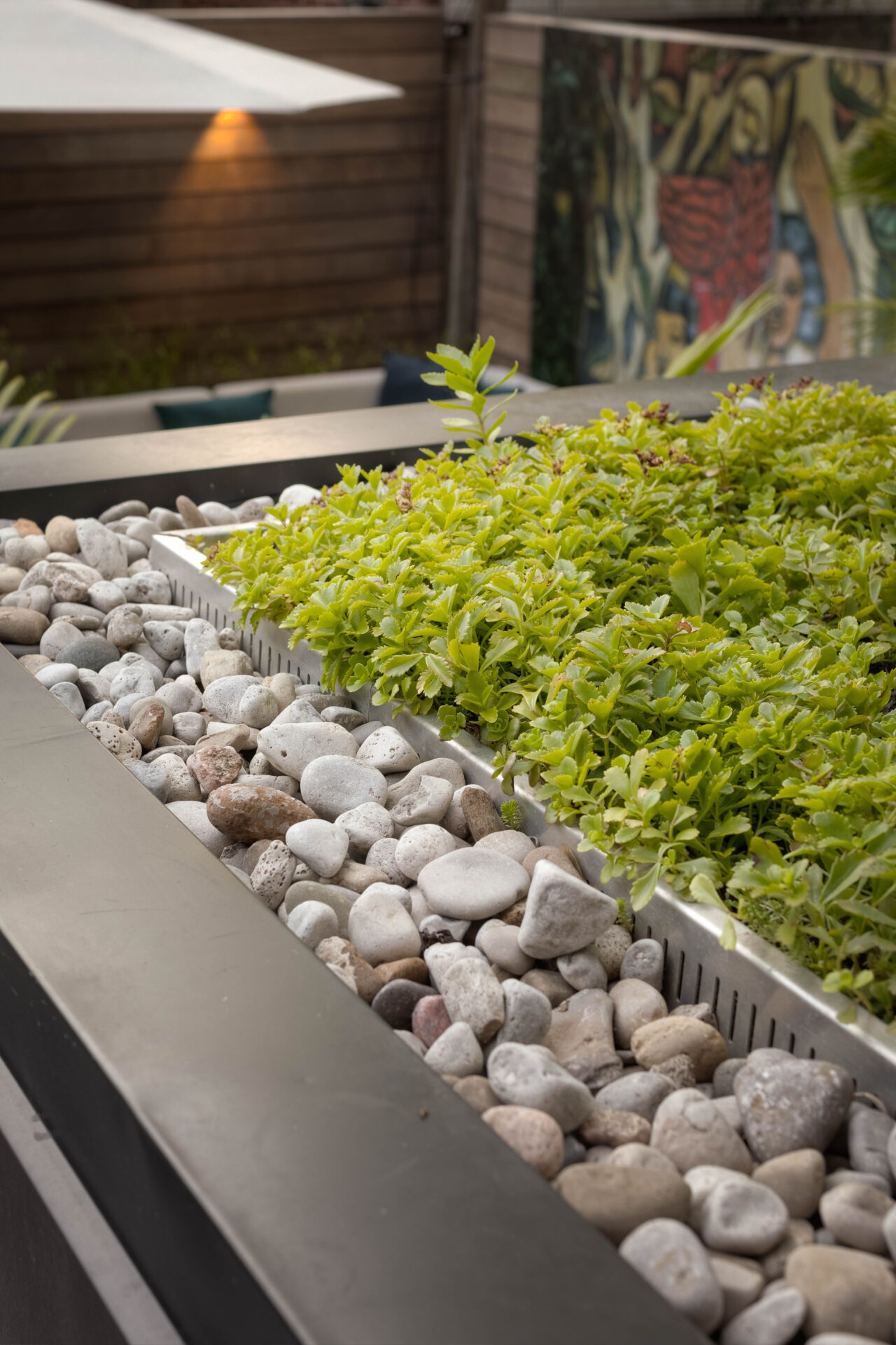 A rooftop garden features lush greenery and smooth stones, with a wooden privacy fence and colorful mural in the background. Modern outdoor setting.