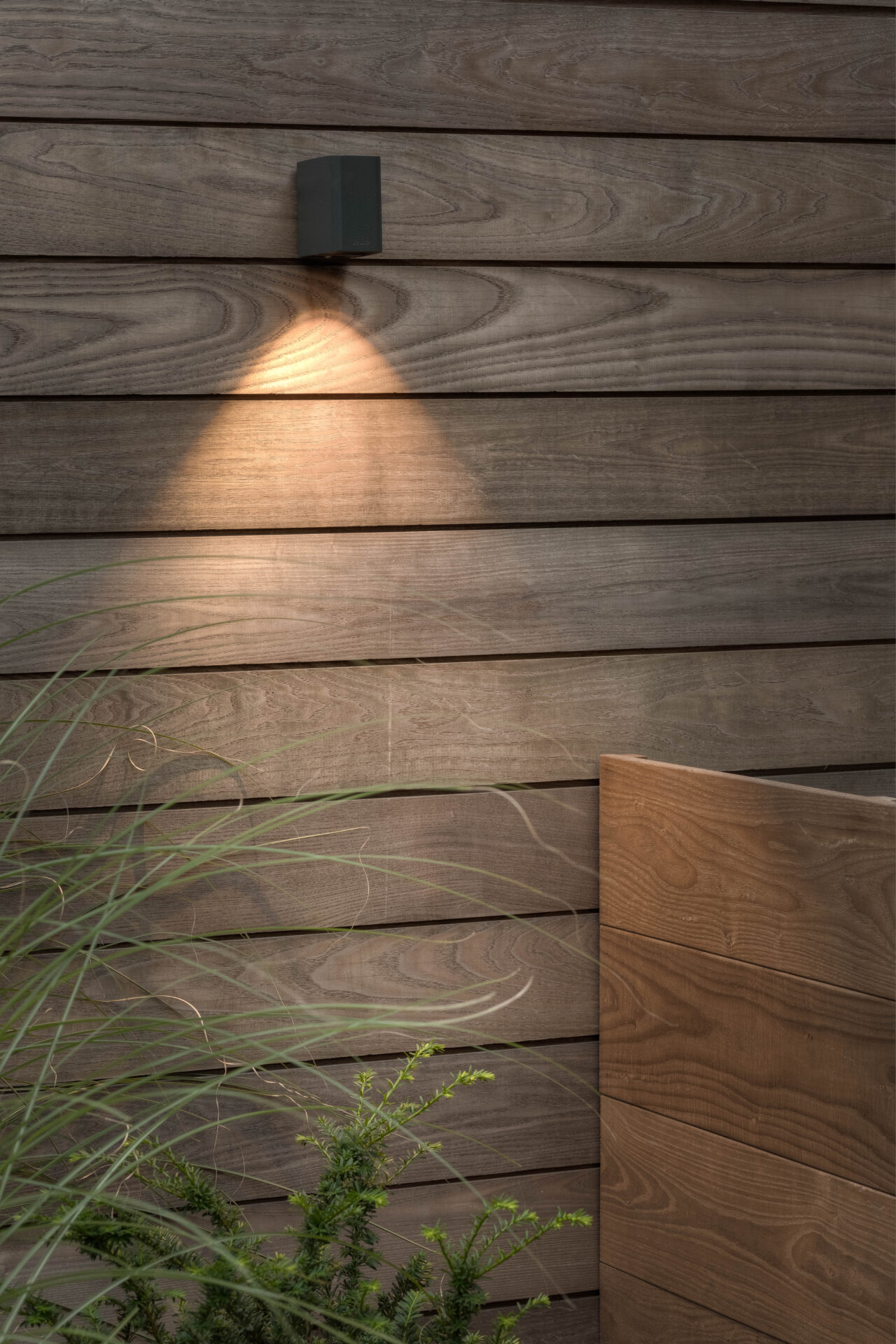 Wooden wall with a modern outdoor light fixture, illuminated in warm tones. Green plants partially visible at the bottom left corner.