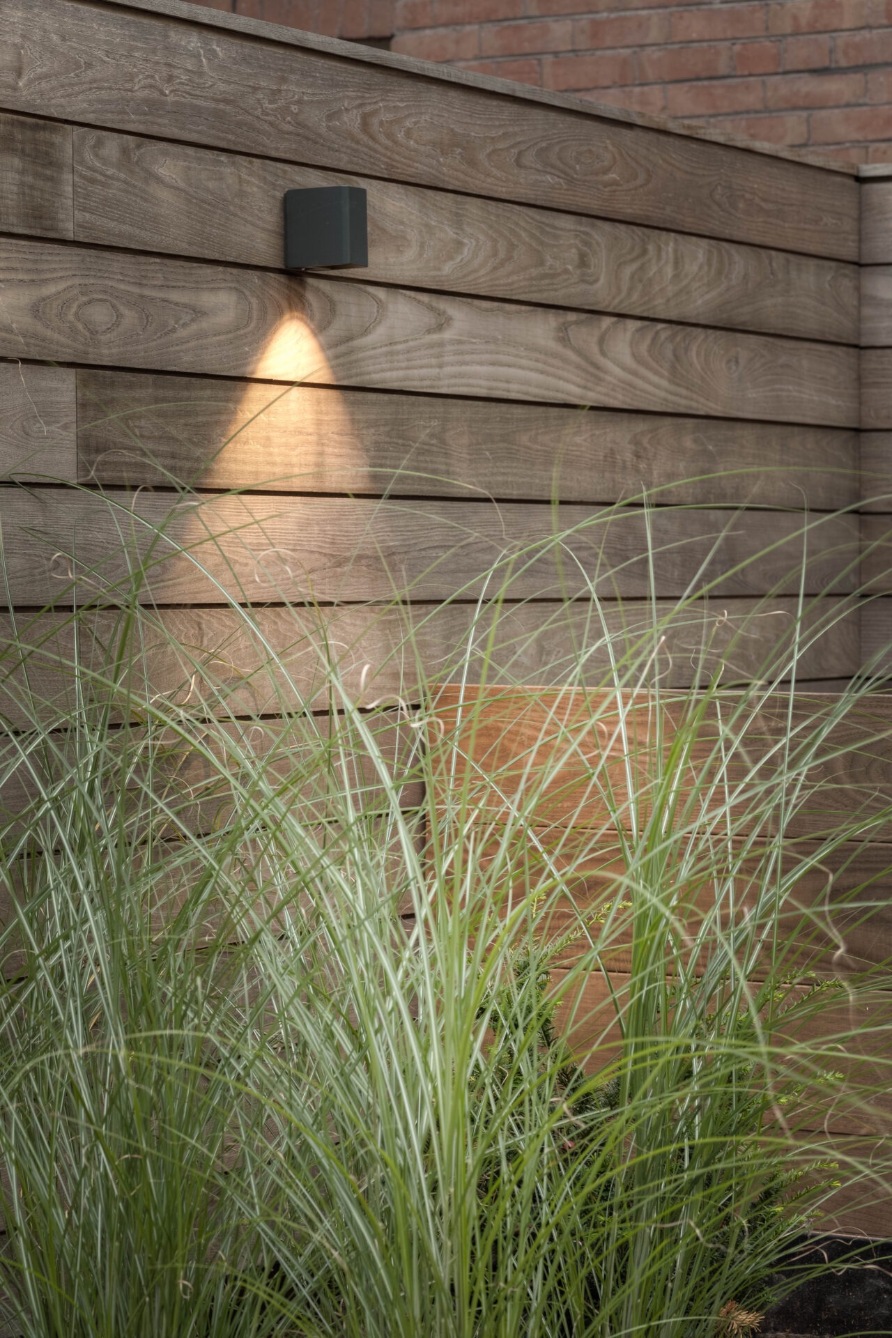 Tall grasses in front of a wooden fence with a small wall light casting a warm glow. Brick wall background.