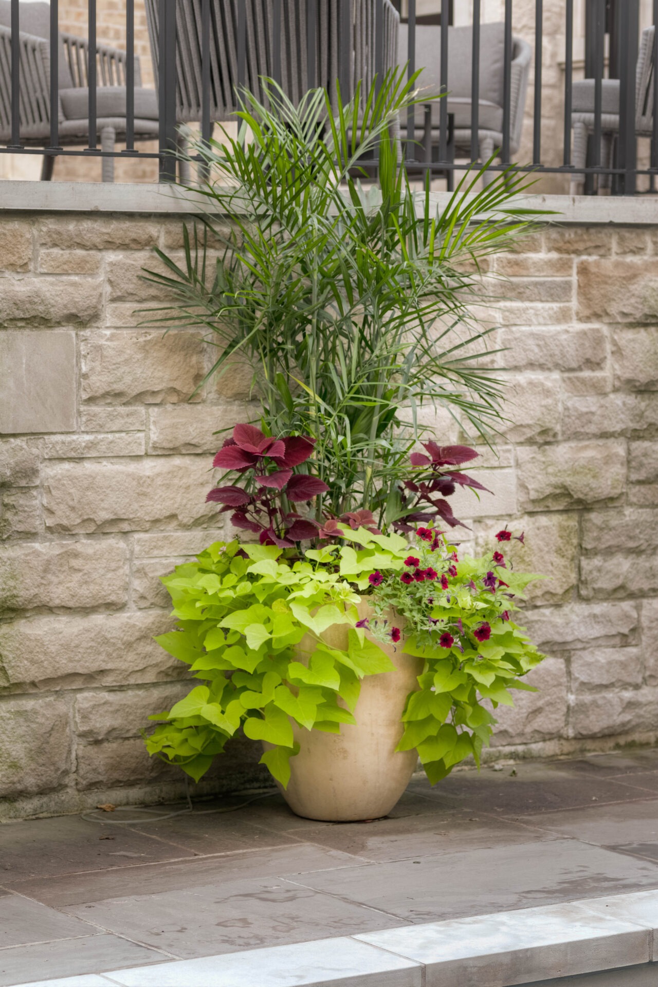 A vibrant planter with green and purple foliage sits on a stone patio. Modern outdoor seating is visible behind a barrier.