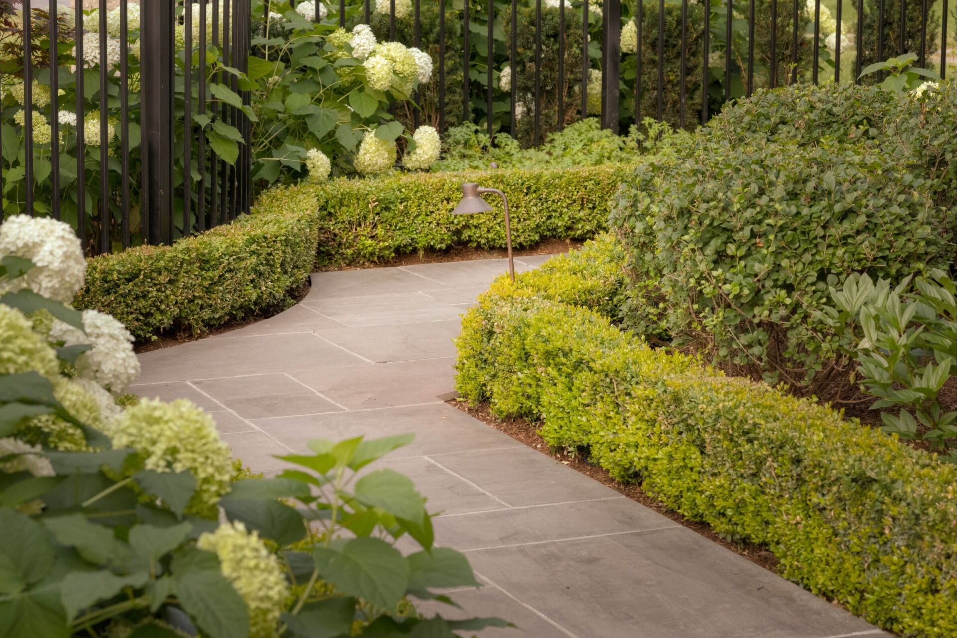 A winding path bordered by manicured hedges and hydrangeas. A small garden light is visible along the stone walkway.