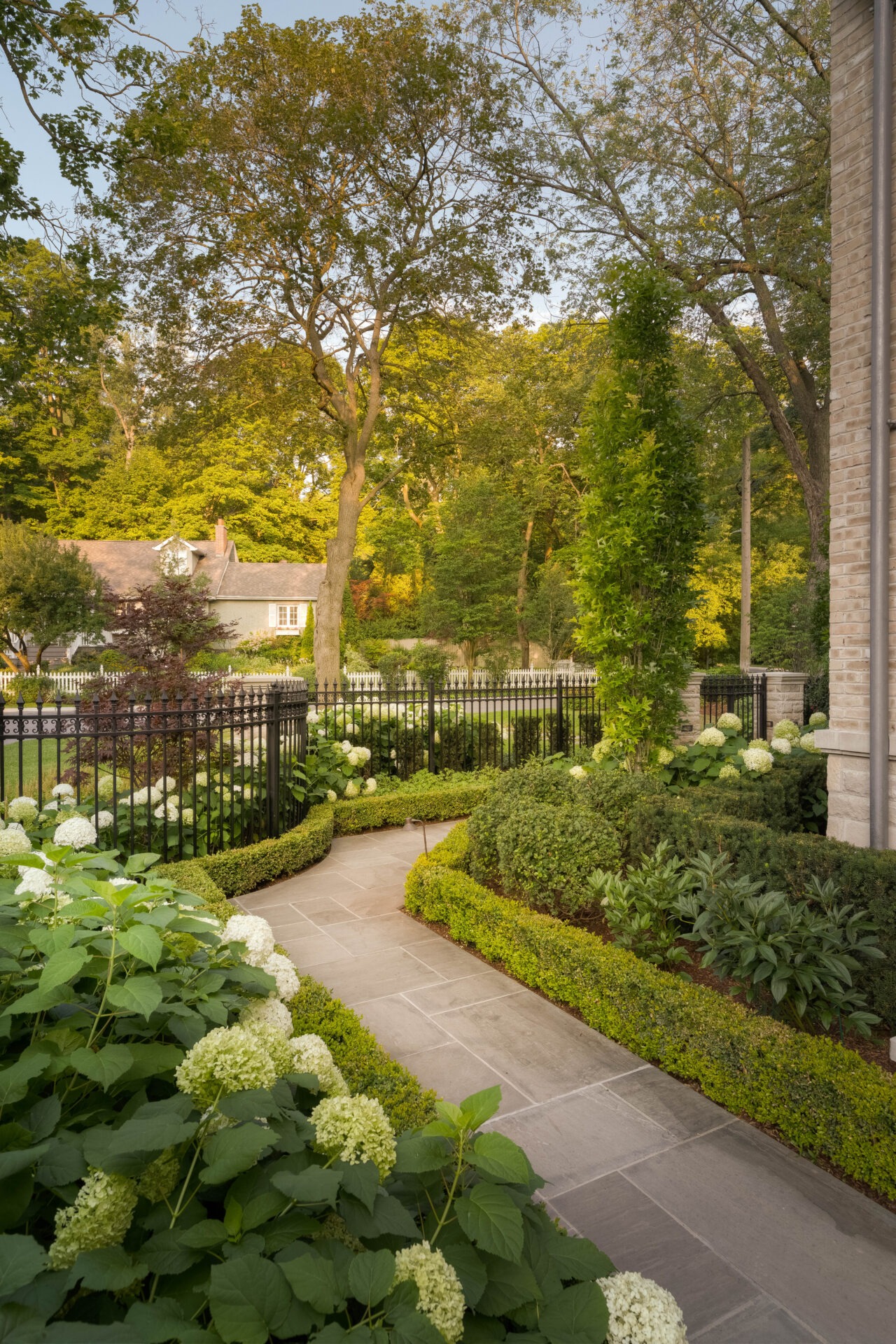 Lush garden with paved path, bordered by hydrangeas and manicured hedges, adjacent to a charming house, enclosed by a black iron fence.