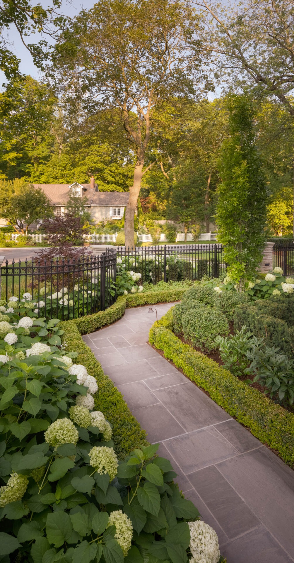 A garden path with hydrangeas leads to a house, surrounded by trees and a wrought iron fence under soft sunlight.