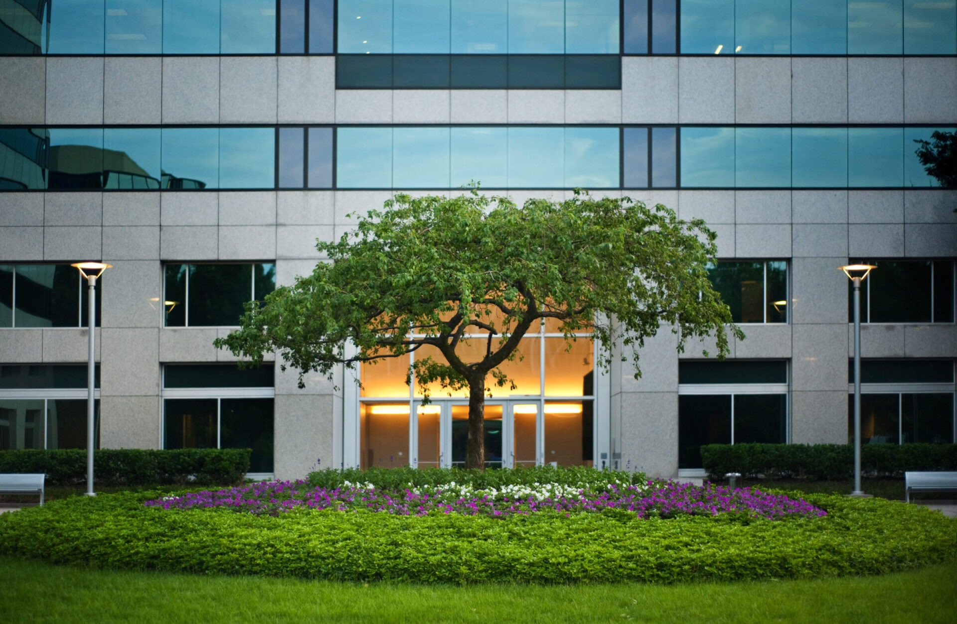 Modern building facade with large windows, a vibrant garden featuring a central tree and colorful flowers, illuminated by sleek streetlights.