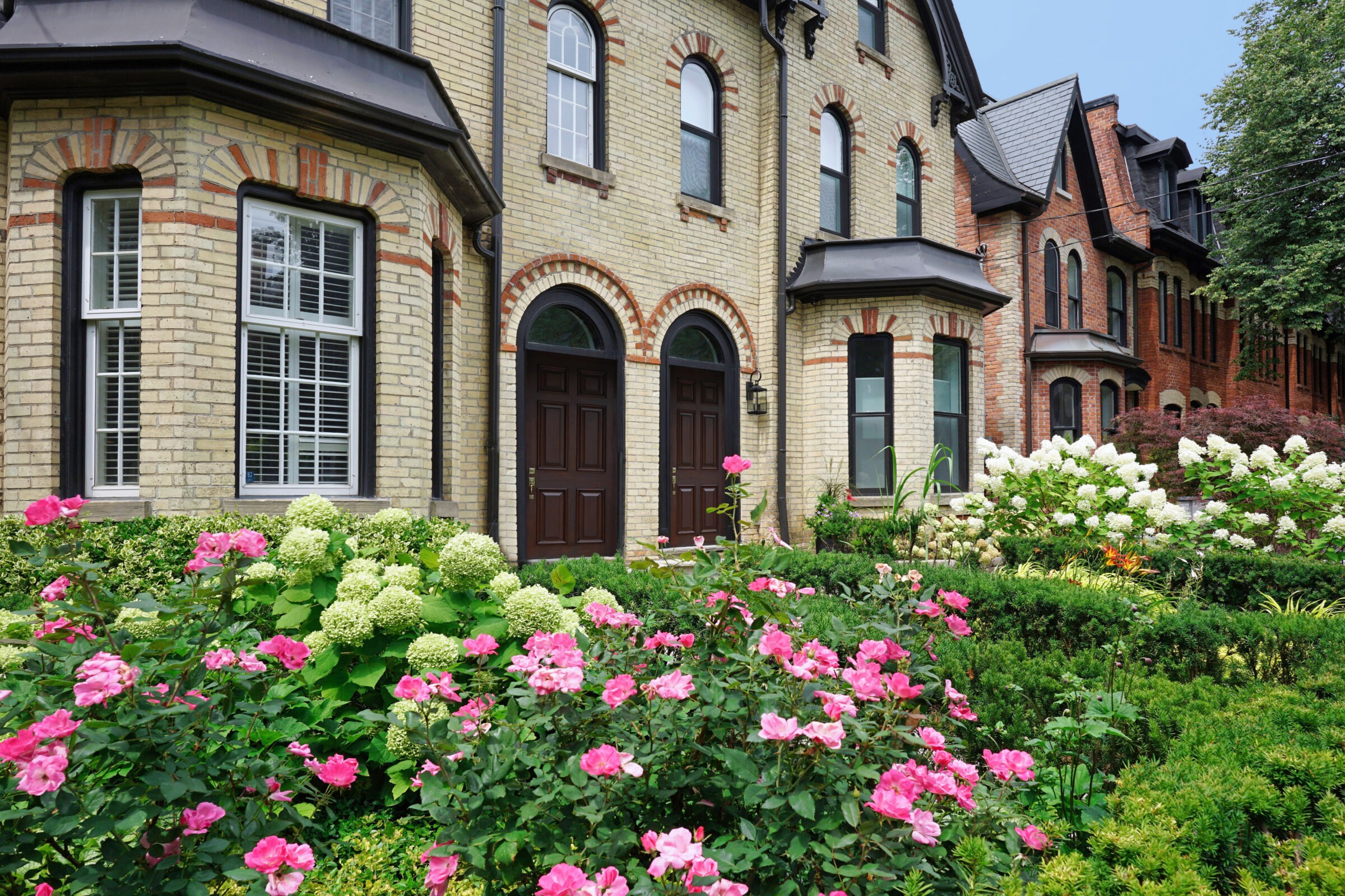 A charming Victorian-style row house features vibrant gardens with blooming pink and white flowers, enhancing its classic architectural details and arched windows.
