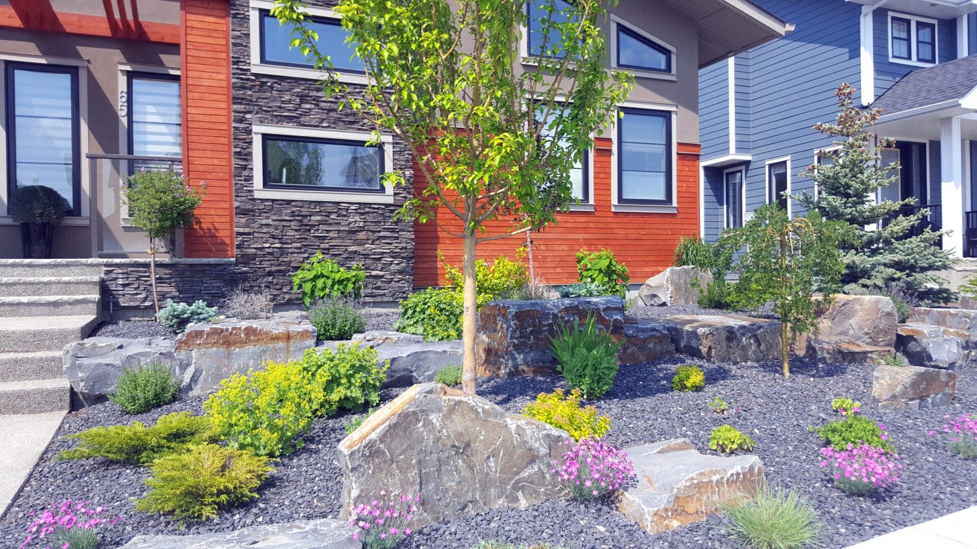 Modern house with a vibrant garden featuring stone landscaping, yellow and pink flowers, and small trees in front of a multicolored facade.
