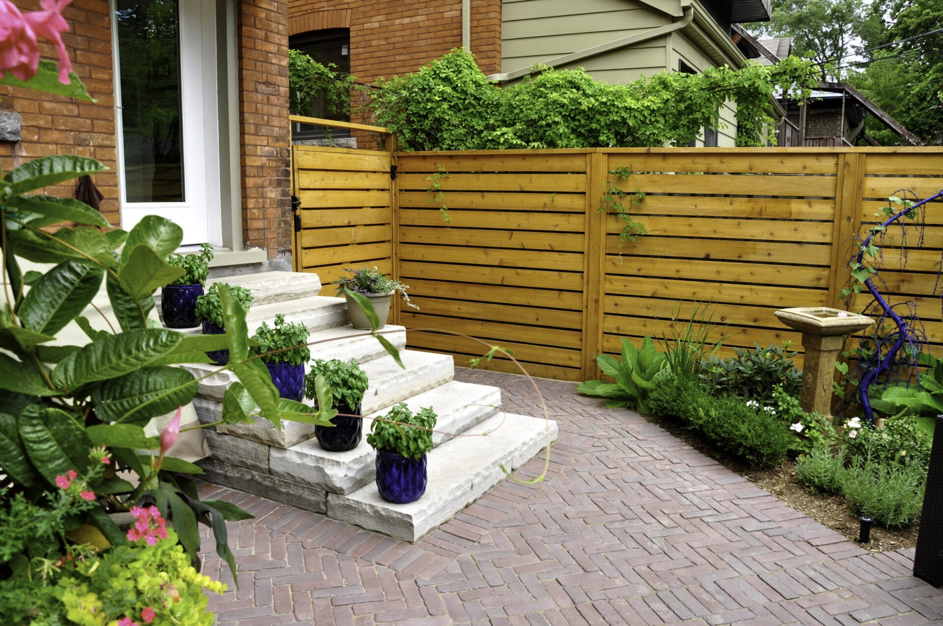 A cozy backyard garden with stone steps, blue potted plants, vibrant greenery, and a wooden fence, creating a tranquil, inviting space.