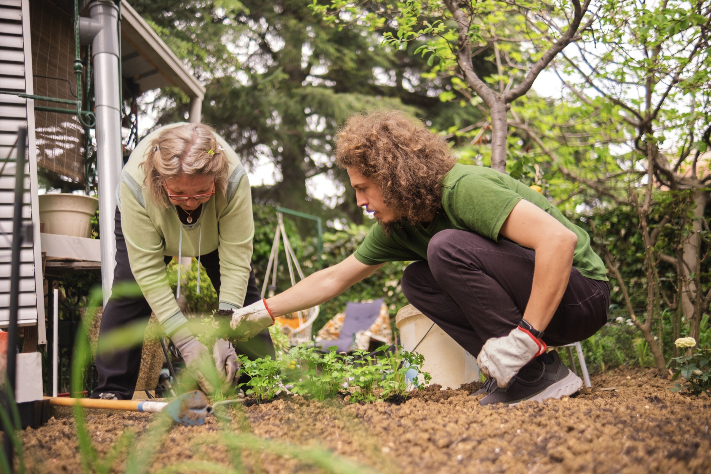 Two people working together in a garden, kneeling in soil as they plant young green seedlings; the scene is surrounded by trees and home structures, conveying a peaceful and collaborative outdoor activity.