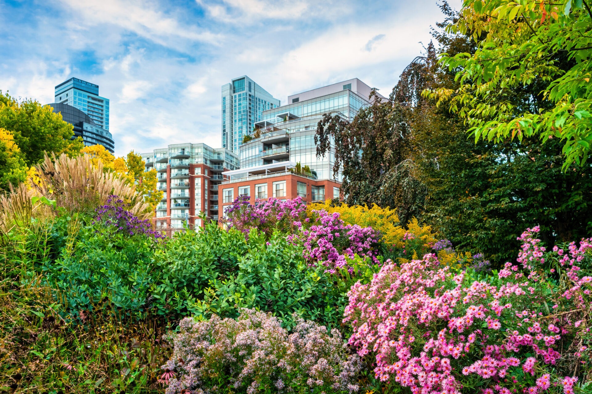 Colorful garden foregrounds modern high-rise buildings in an urban setting, blending nature with cityscape. Lush greenery mixed with vibrant flowers.