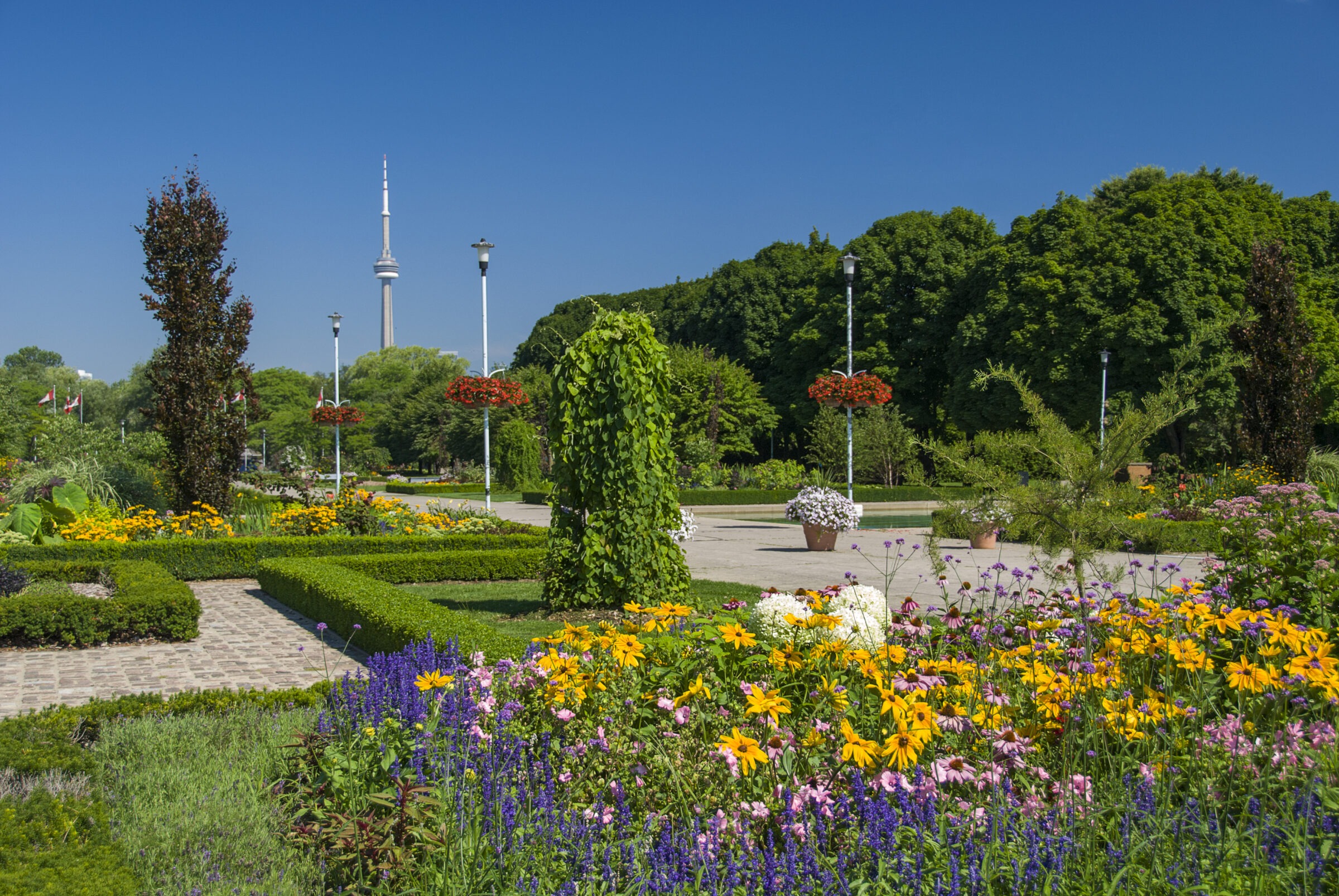 A vibrant flower garden under clear blue skies with the CN Tower rising in the background, surrounded by lush greenery and lampposts.