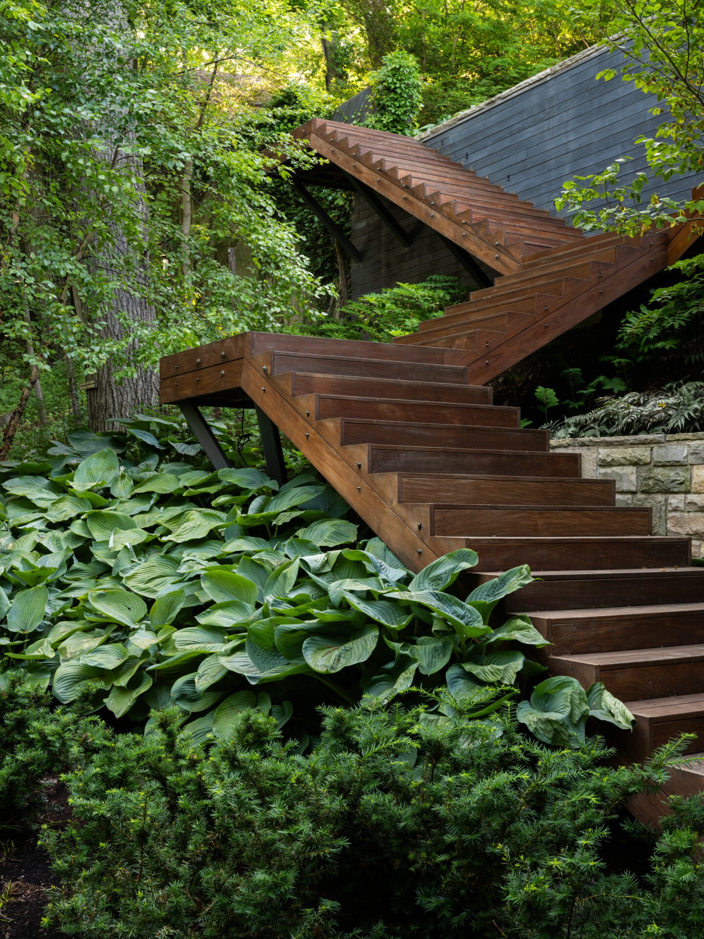 A modern wooden staircase ascends through lush green foliage, surrounded by tall trees, creating a serene, nature-integrated architectural landscape.