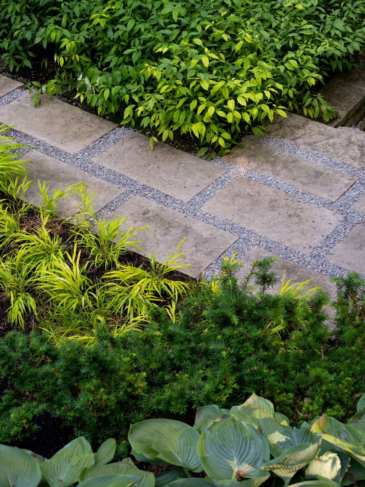 Lush garden with diverse green foliage, featuring a stone path bordered by vibrant plants. The scene evokes tranquility and natural beauty.