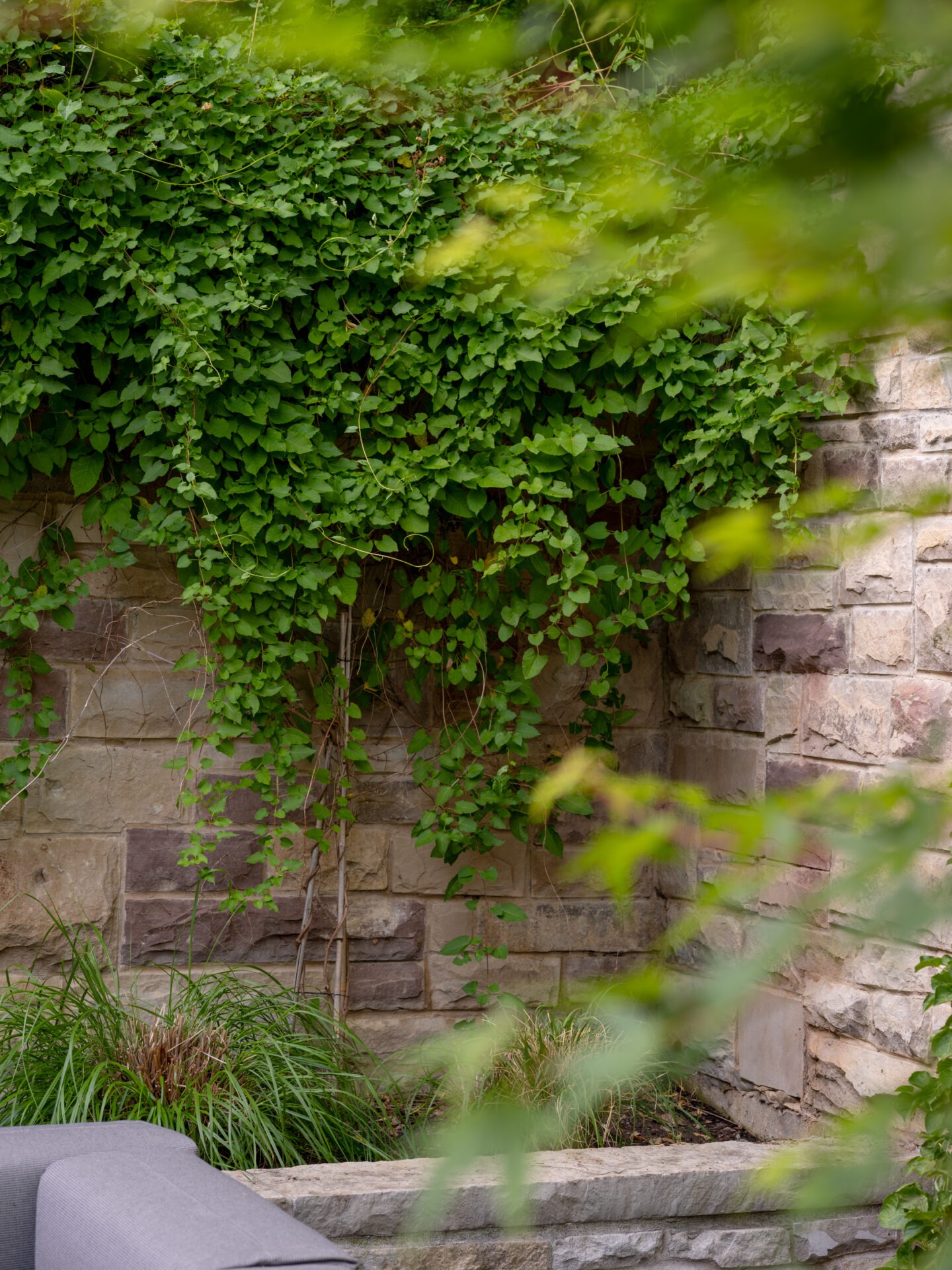 Lush green ivy grows on a stone wall next to a gray outdoor sofa, creating a serene garden setting with natural textures and colors.