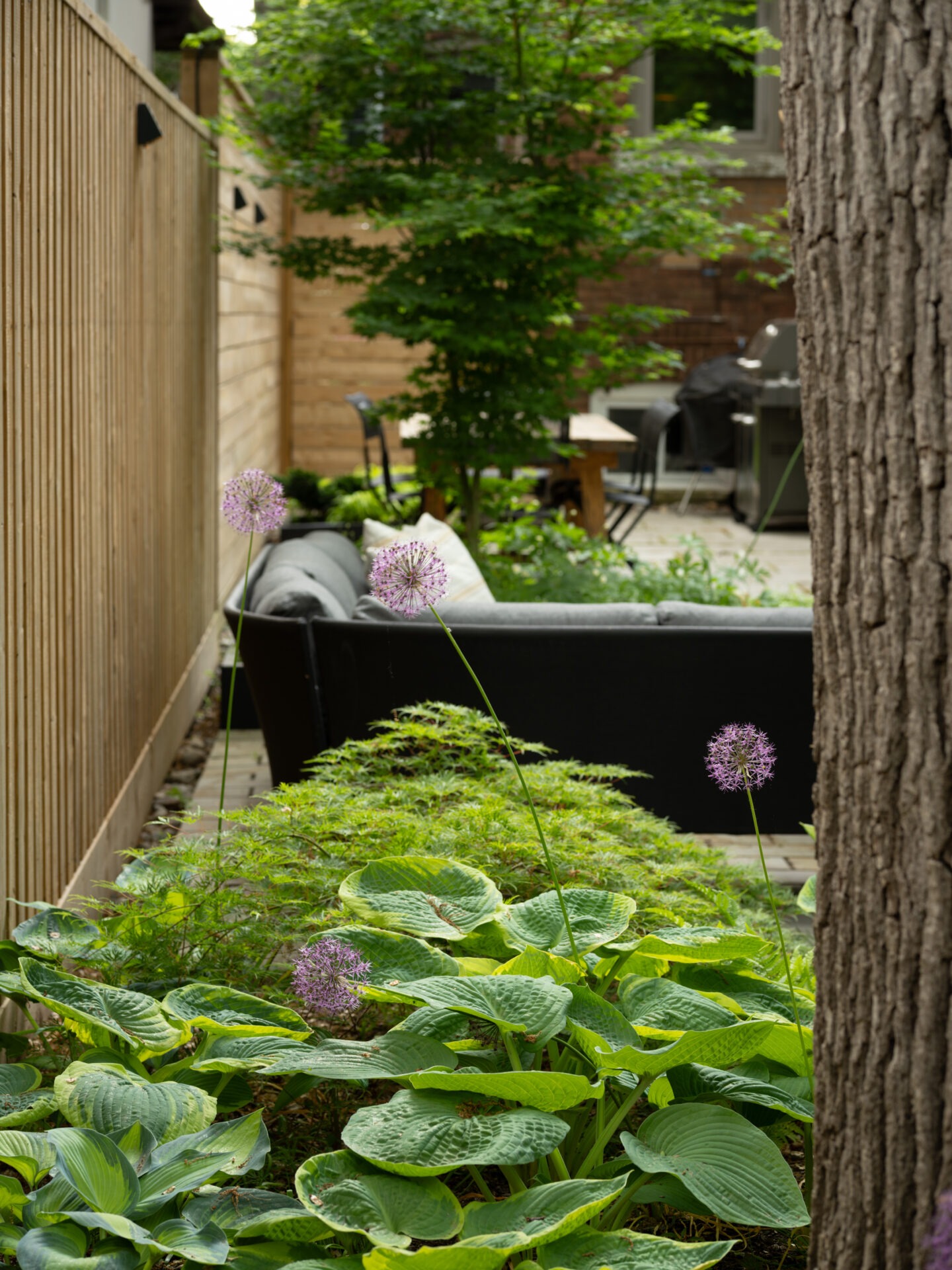 A lush, cozy garden with various plants, purple flowers, a gray sofa, wooden fence, tree, and outdoor dining area.