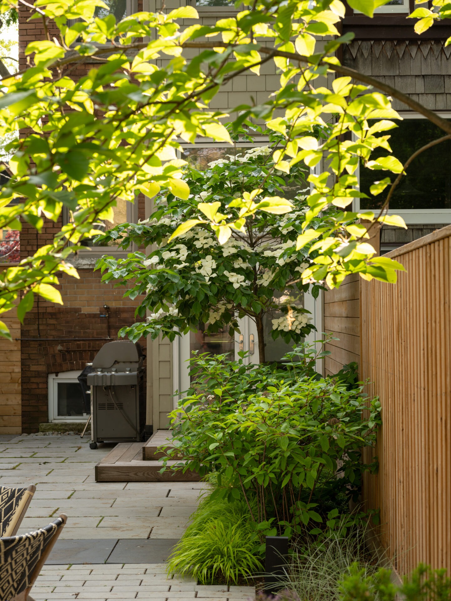 A serene backyard garden with lush greenery, a wooden fence, patio, grill, and blooming trees, creating a peaceful outdoor space.
