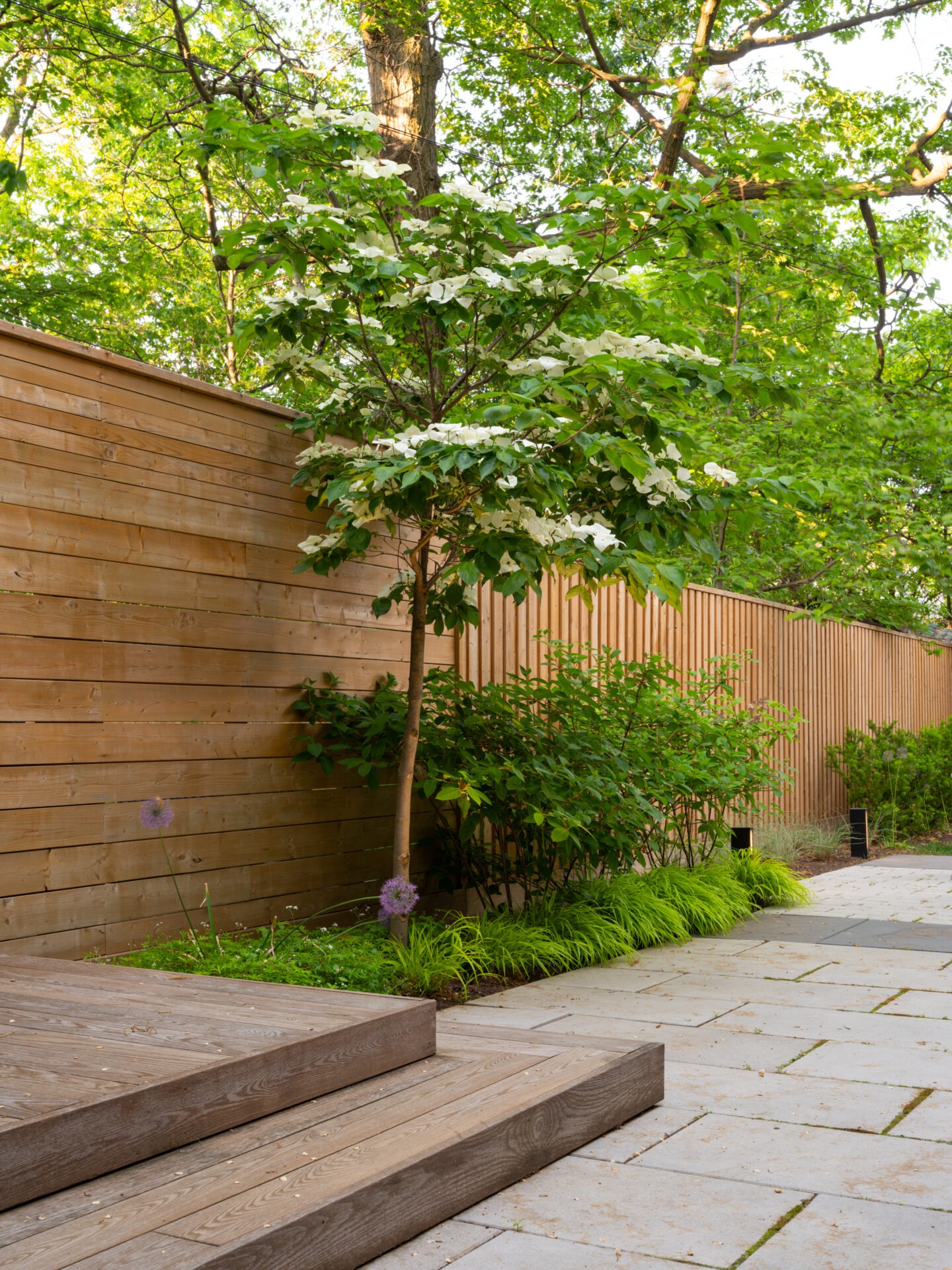 A peaceful garden features a wooden fence, lush green plants, white flowers, and a wooden deck with steps leading to a stone patio.