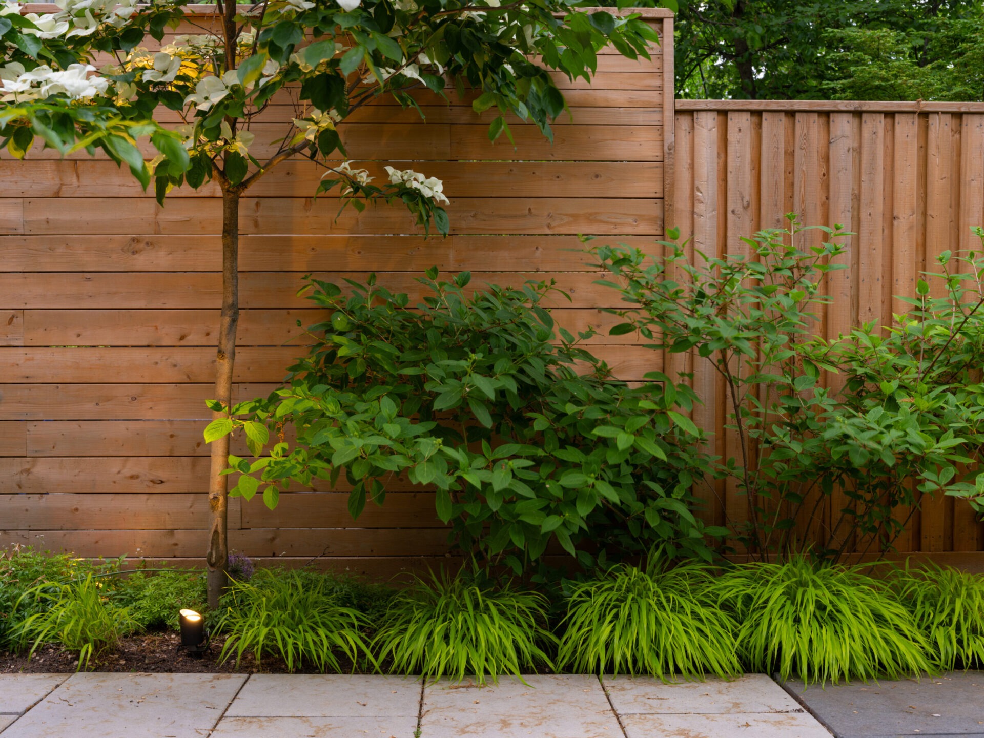 A wooden fence with lush greenery, including bushes, plants, and a small tree, creating a serene garden setting.