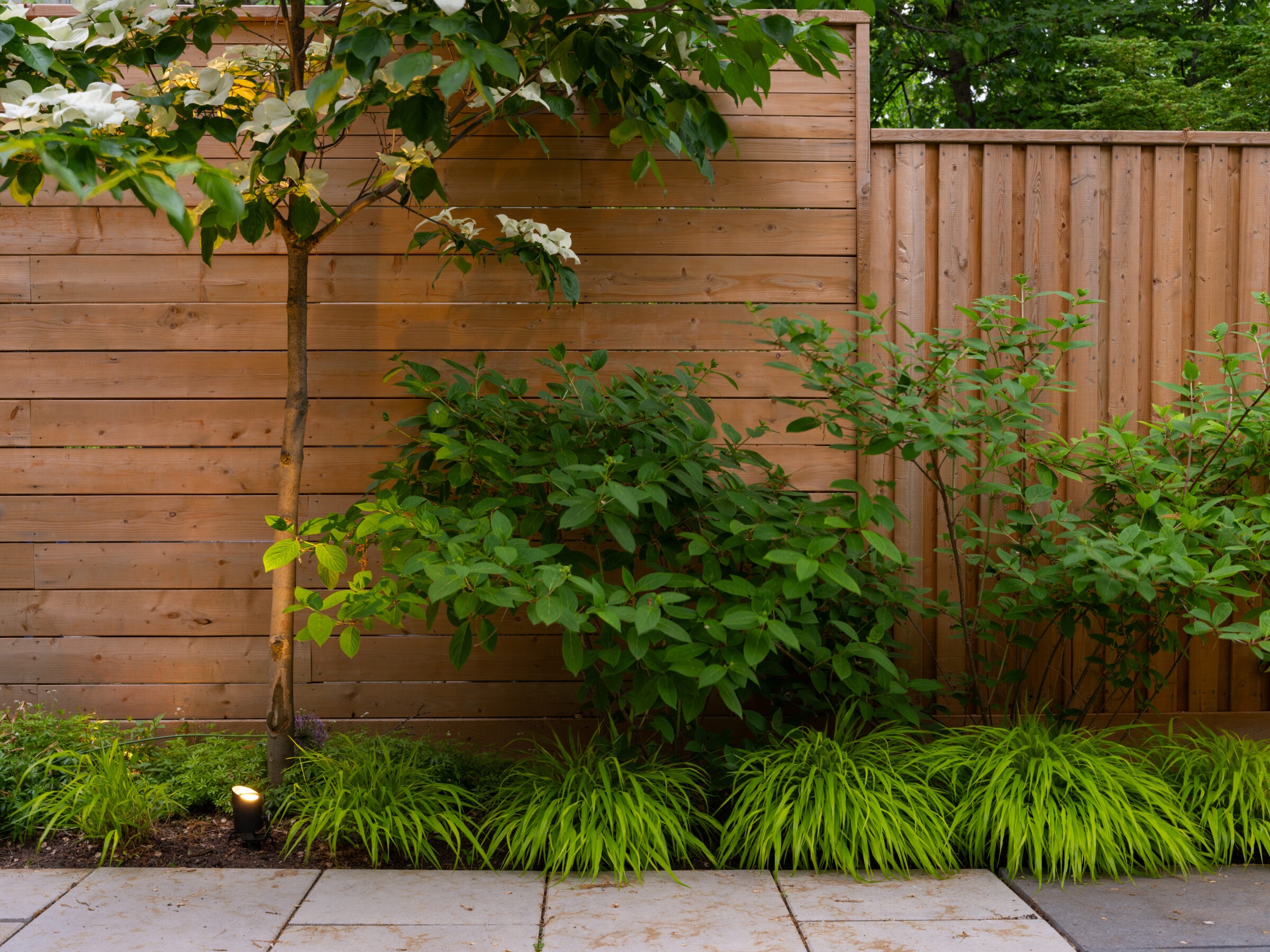 A wooden fence with leafy plants in front of it, including a small tree, creating a cozy, natural garden setting.