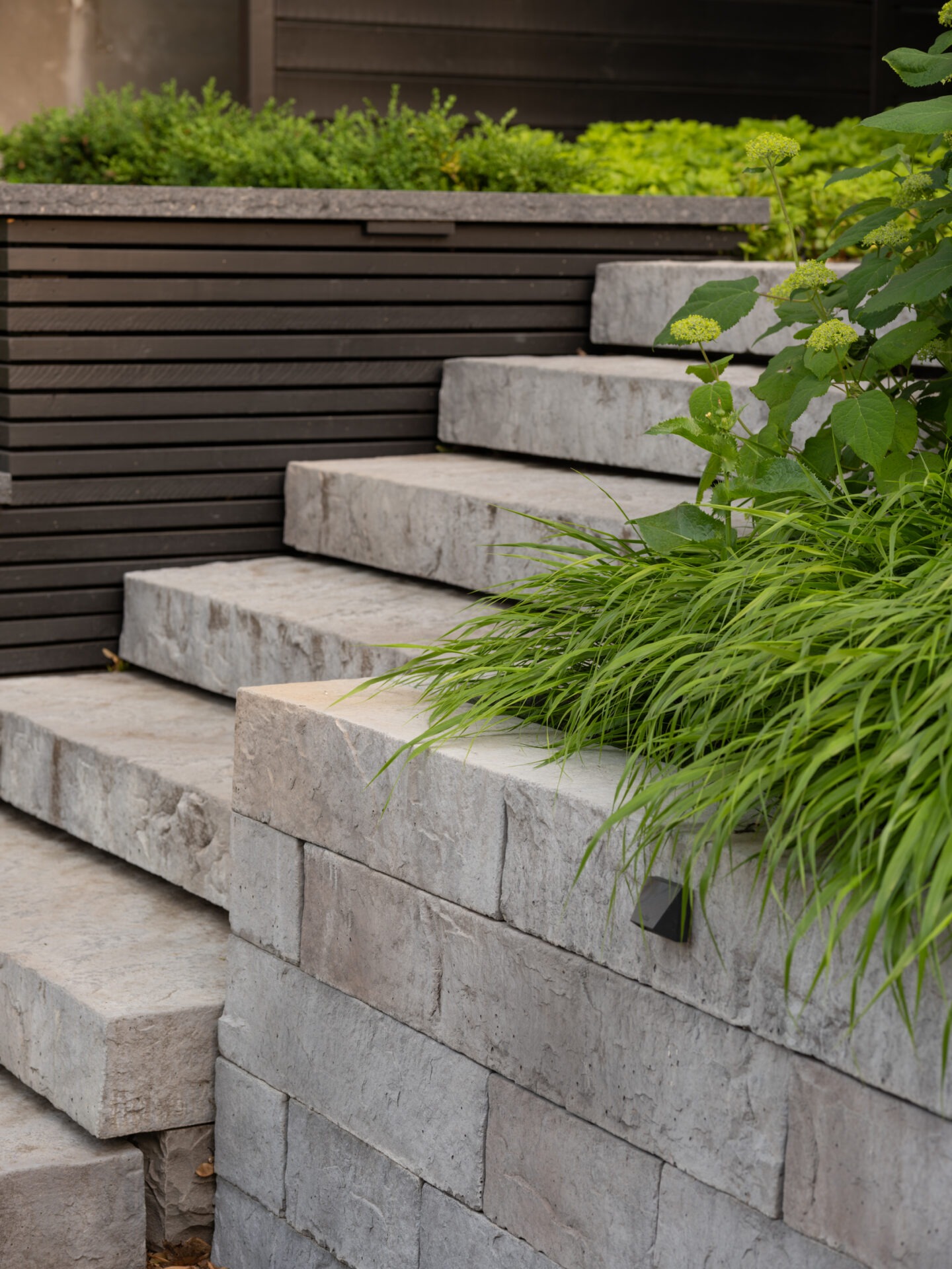 Stone steps with lush green plants alongside a modern, dark wood structure in a garden setting. No people or landmarks visible.