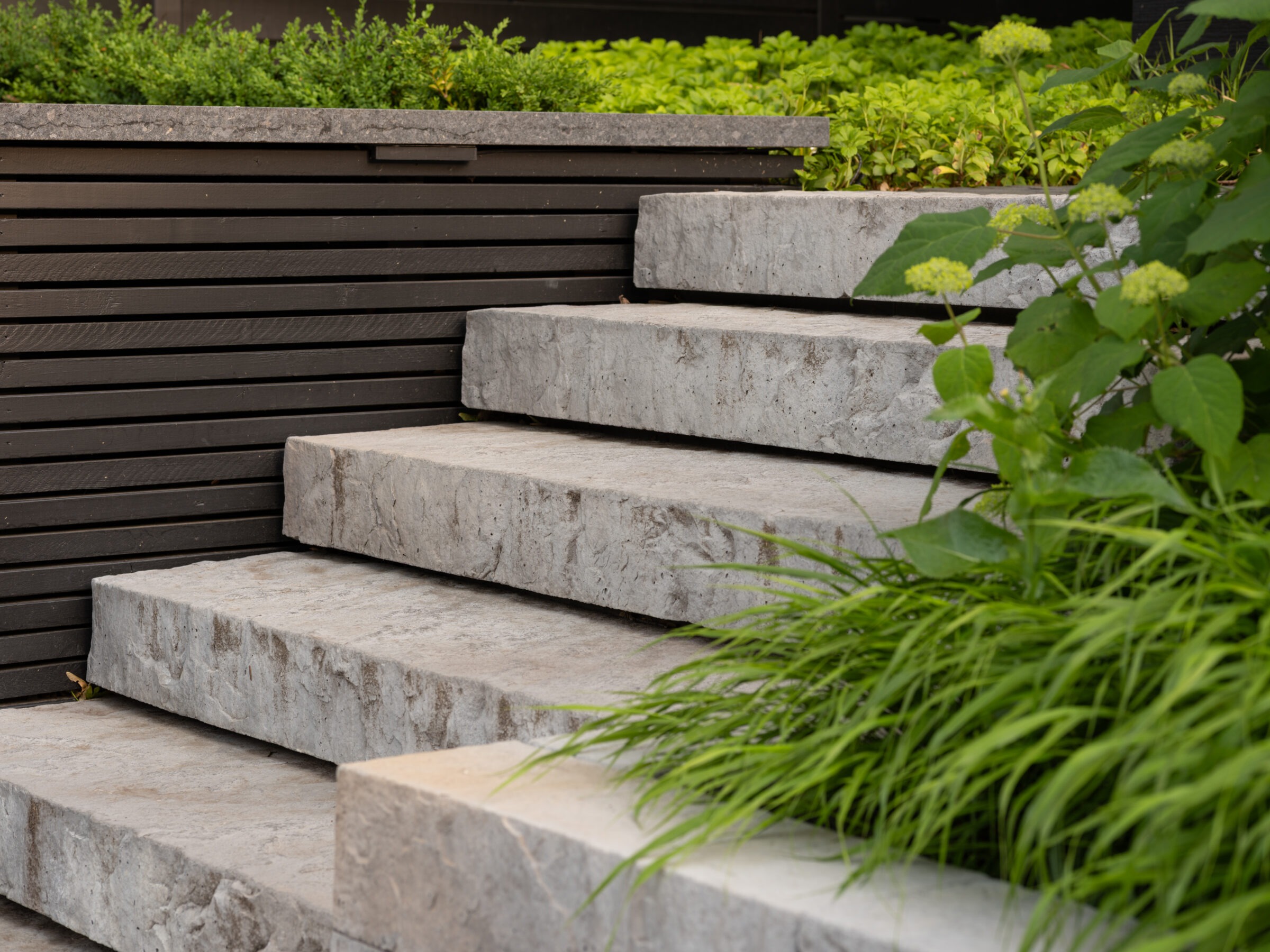 Stone steps bordered by lush greenery lead up to a modern garden, with wooden paneling accentuating the landscape design.