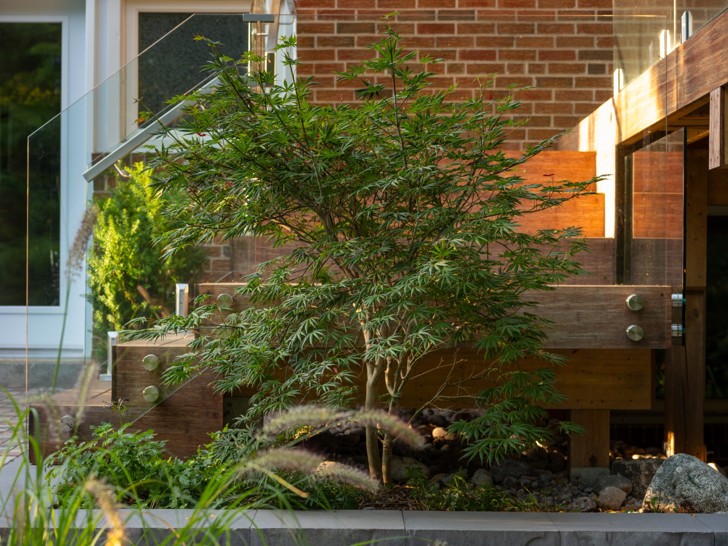 A leafy tree stands beside a modern brick building, with glass railings and steps, bordered by green foliage and stone elements.