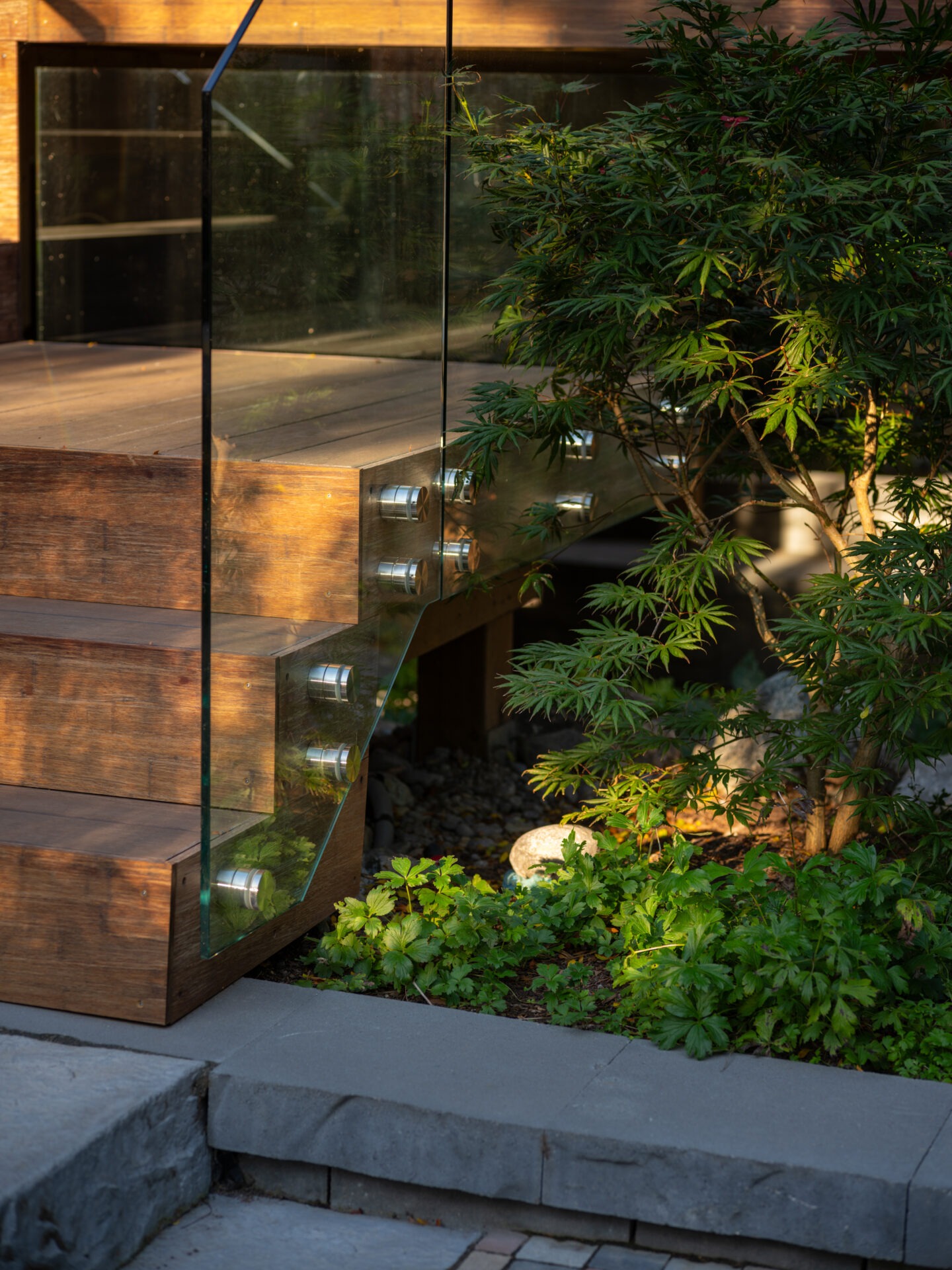 Modern steps with glass railing, integrated lights, and wooden finish. Surrounded by lush green plants, creating a serene, natural environment.